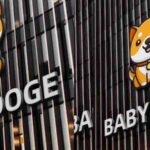 Baby Doge