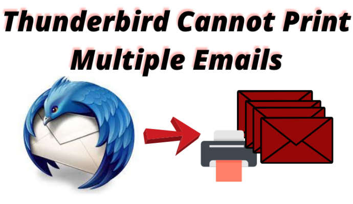 thunderbird cannot print multiple emails