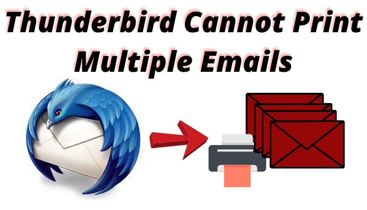 mailbird will not print